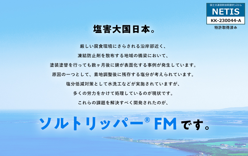 ソルトリッパー FM メインビジュアル 国土交通省新技術提供システム NETIS KK-230044-A 特許取得済み